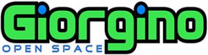 GIORGINO GROUP